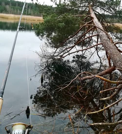 Fishing gear every angler should have