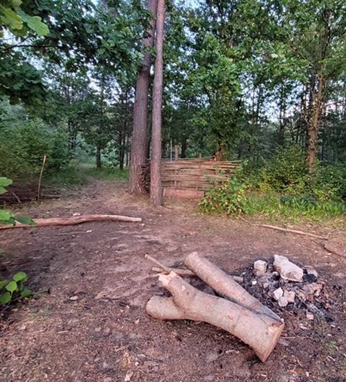 Safety tips for camping in different environments