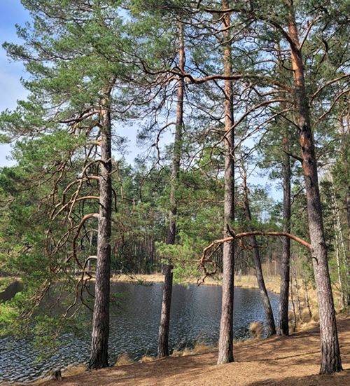 Eco-Friendly Camping How to Minimize Your Impact on Nature1
